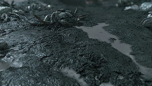 gray crab, Death Stranding, Hideo Kojima, Kojima Productions, apocalyptic HD wallpaper