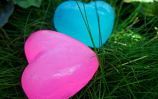 two heart-shaped pink and blue frosted table decors