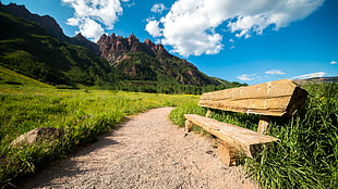 brown wooden bench