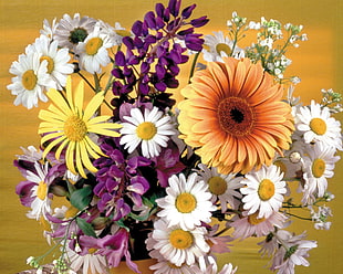 variety of flowers HD wallpaper