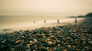 stone pebble lot, nature, rocks, landscape, beach