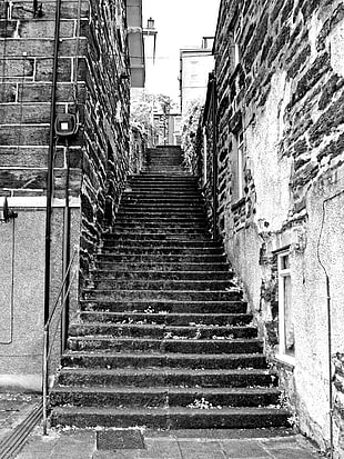 gray scale photo concrete stair