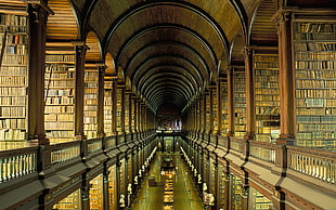 brown concrete library room