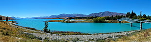 green grass, New Zealand, Mt Cook, landscape