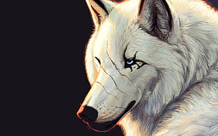 scratched face white wolf digital wallpaper, artwork HD wallpaper