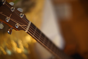 closeup photography of brown guitar headstock HD wallpaper