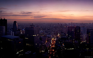 city buildings during sunset, photography, urban, city, building HD wallpaper