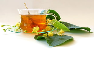 tea filled clear glass teacup on saucer surrounded by green leaves