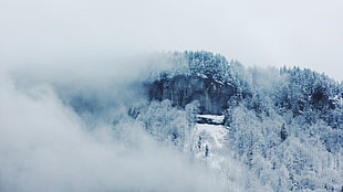 mountains snowfield, landscape, winter HD wallpaper