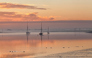 silhouette of three boats during sunset