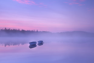 photography of two white outboard boats on body of water