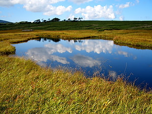 green grass field near body of water under blue sky HD wallpaper