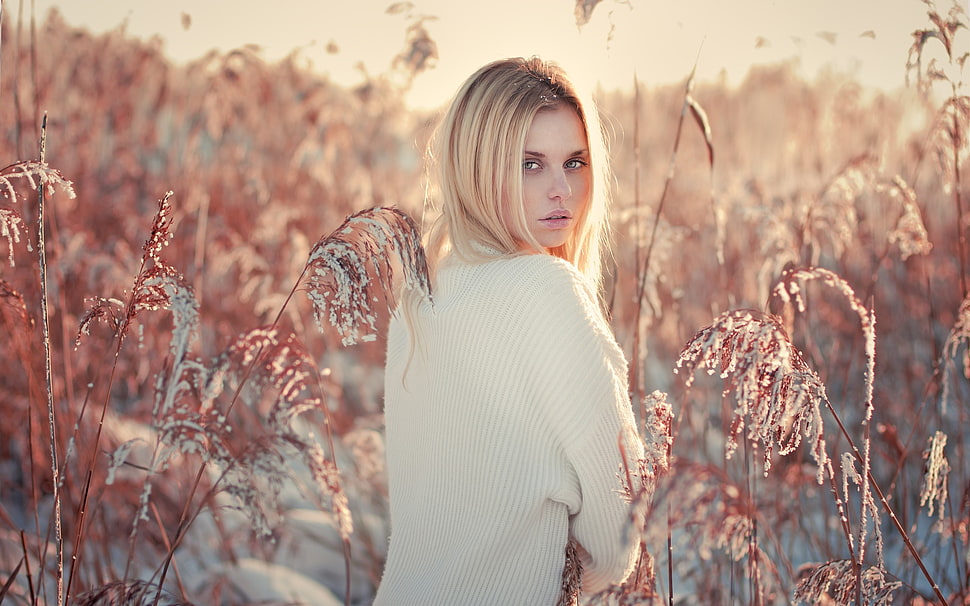 woman surrounded by plants during sunset HD wallpaper