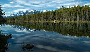 lakeside with trees and snowfield mountain hills under cloudy sky at daytime HD wallpaper