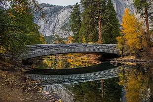 gray stone bridge near mountain, yosemite