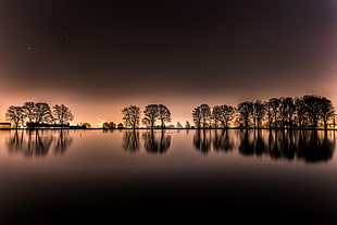 silhouette photo of trees, trees, landscape, lake, sunset