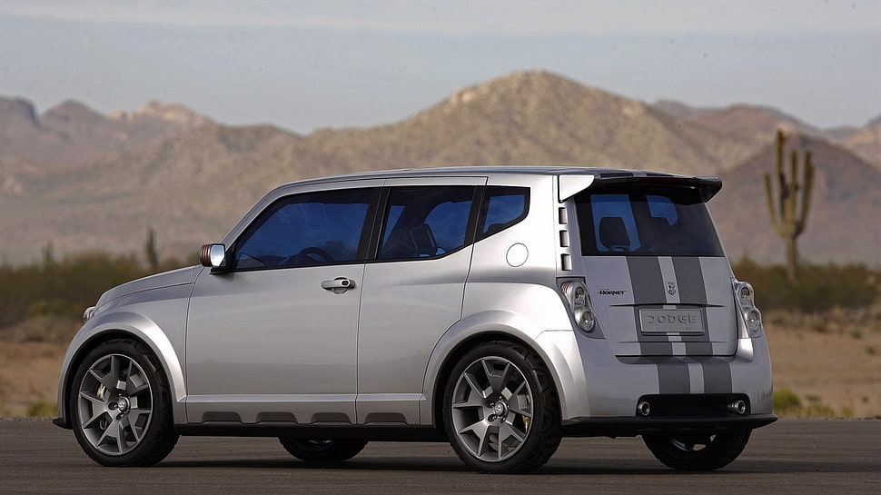 white and black mini van, car, Dodge, vehicle, silver cars HD wallpaper