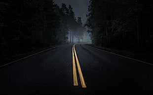 black and white wooden table, road, mist, dark, trees