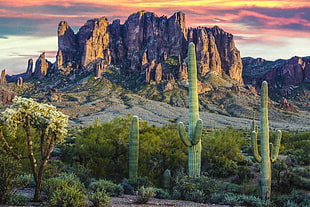 landscape photo of rock mountain, superstition mountains HD wallpaper