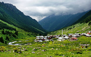 white and red houses, nature, landscape, villages, Elevit