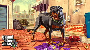Grand Theft Auto V wallpaper, Grand Theft Auto V, dog, video games HD wallpaper