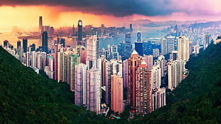 high-rise buildings illustration, cityscape, building, Hong Kong HD wallpaper