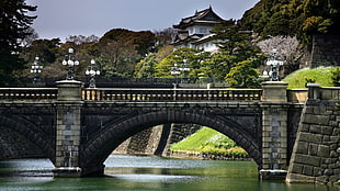photo of bridge and river