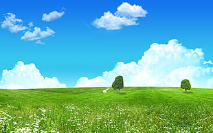 green landscape wallpaper, field, digital art, nature, clouds