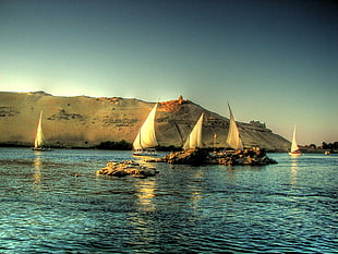 five white sailing boats, nature, sea, boat