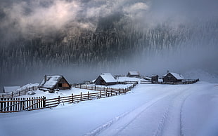 wooden house covered with snow, nature, landscape, white, cold HD wallpaper