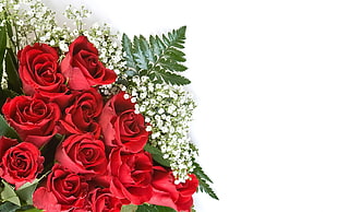 red roses bouquet HD wallpaper