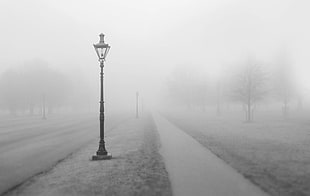 greyscale photography of light post between pathway and road during fog HD wallpaper