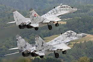 two gray fighter jets, mig-29, military aircraft, camouflage, Slovakia HD wallpaper