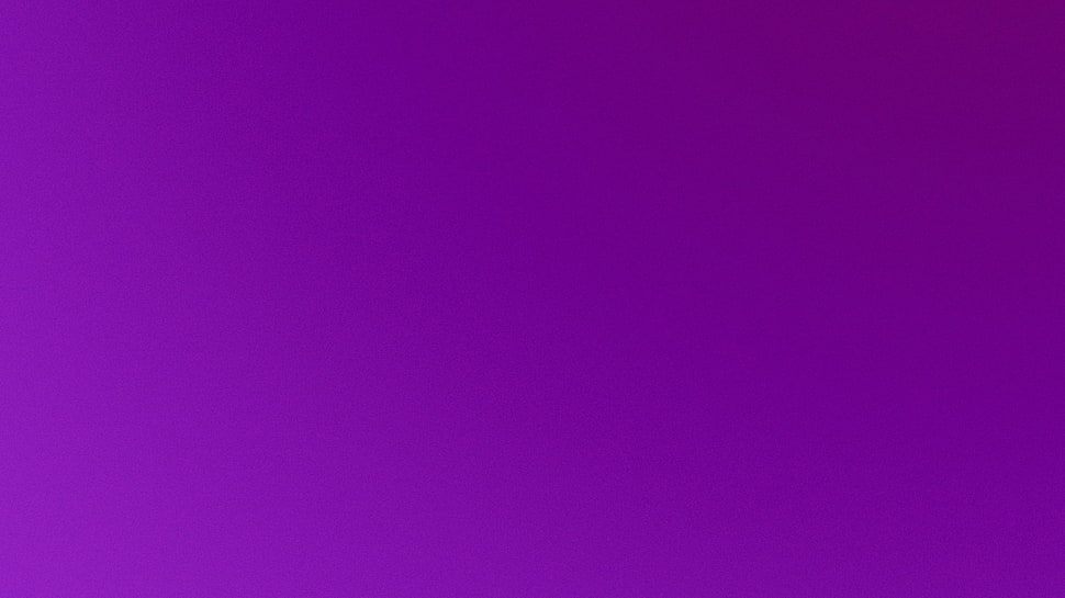 violet, simple background HD wallpaper