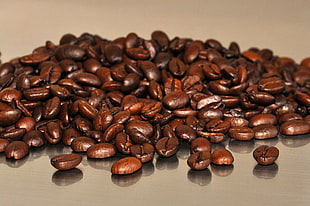 coffee beans HD wallpaper