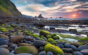 moss and stones, nature, landscape, stones, sunset