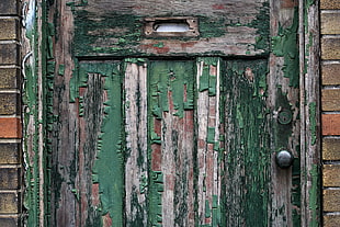 green and gray wooden door, wood, door, old building HD wallpaper