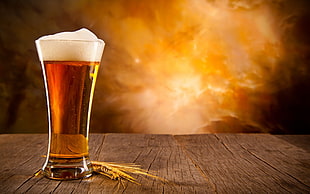 clear beer glass, beer, drink, alcohol HD wallpaper
