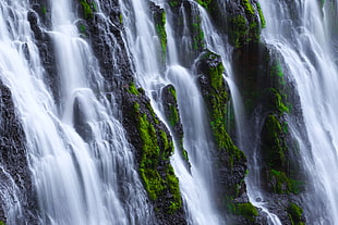 photo of waterfalls with algae HD wallpaper