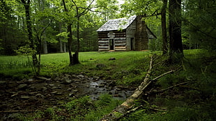 wood house on rainforest