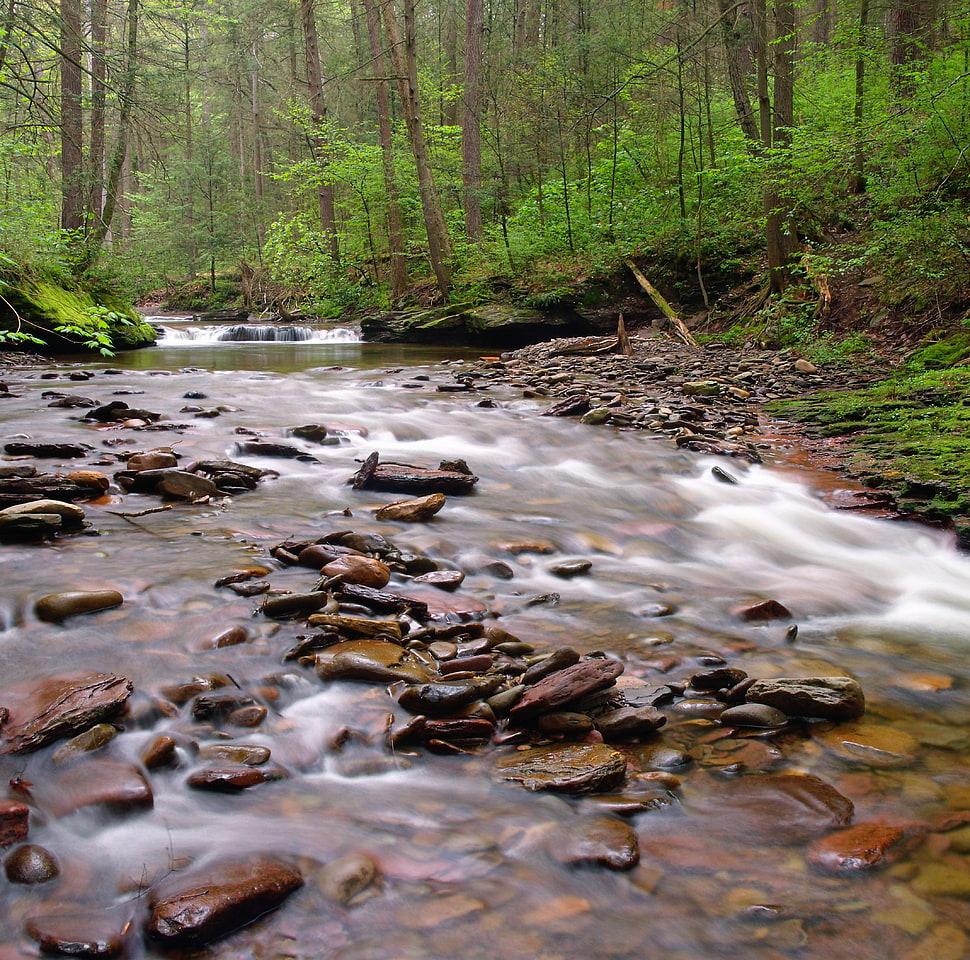 clear body of water with rocks during daytime HD wallpaper