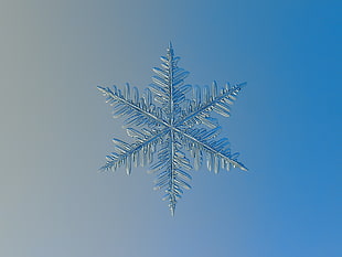 white snowflake HD wallpaper