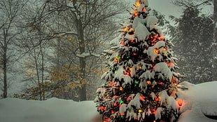 snow covered christmas tree