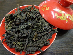 green dried leaves on red ceramic container