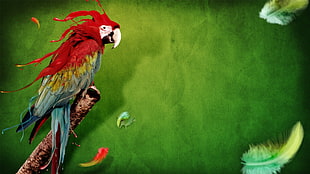 scarlet macaw painting, macaws, animals, digital art, birds HD wallpaper
