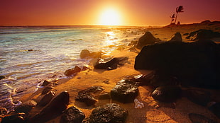 ocean wave on seashore at golden hour, beach, sunset HD wallpaper