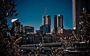 brown and gray buildings photo taken during daytime