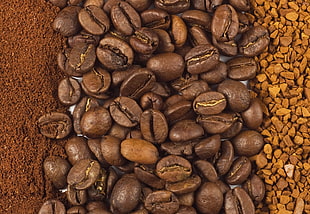 brown coffee beans