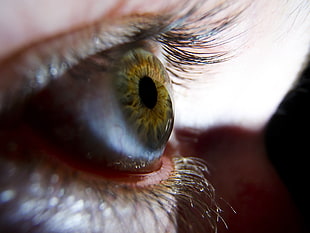 closeup photo of person eyeball HD wallpaper