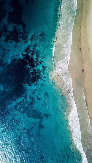 nature, water, beach